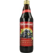 Foto van Rabenhorst Bosbessen nektar