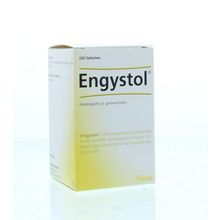 Foto van Heel Engystol