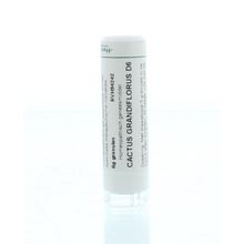 Foto van Homeoden Heel Cactus grandiflorus D6