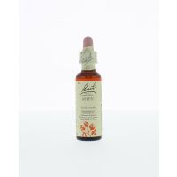 Aspen / ratelpopulier