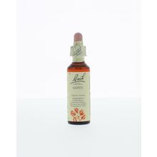 Foto van Aspen / ratelpopulier