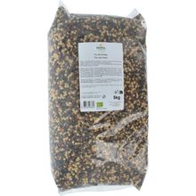Foto van Primeal Linzen trio