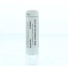 Foto van Homeoden Heel Iris versicolor D12