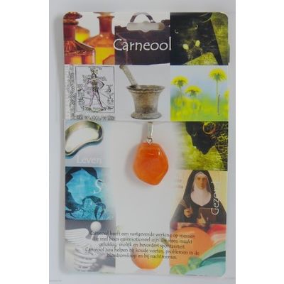 Hanger gezondheidssteen carneool 1 stuks - 