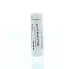 Foto van Homeoden Heel Juglans regia D6