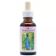 Foto van Animal Essences Peacock (pauw)