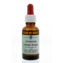 Foto van Pinasnas nasal drops