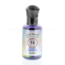 Foto van Victory olie 14