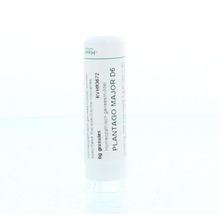 Foto van Homeoden Heel Plantago major D6