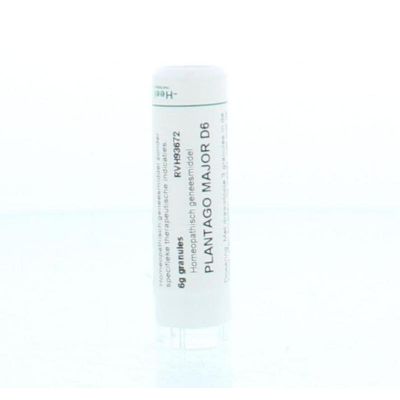 Homeoden Heel Plantago major D6 6 gram - Homeopathische geneesmiddelen