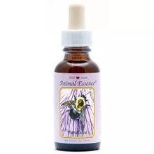 Foto van Animal Essences Bumblebee (hommel)