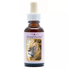 Foto van Animal Essences Lion (leeuw)