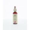 Afbeelding van Crab apple / appel