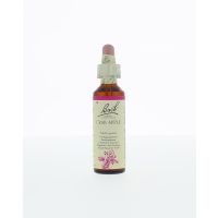 Crab apple / appel