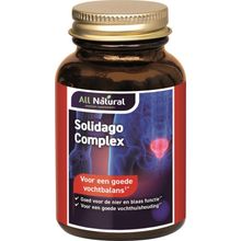 Foto van All Natural Solidago complex