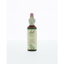 Foto van Holly / hulst