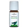 Afbeelding van Eucalyptus olie