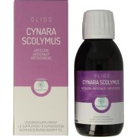 Cynara scolymus