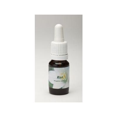 Star Remedies Riet