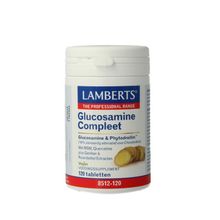 Foto van Lamberts Glucosamine compleet
