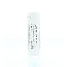 Foto van Homeoden Heel Jaborandi D30