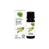 Afbeelding van OAK Tea tree (theeboom)