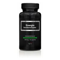 Apb Holland Energie kruidencomplex 500mg puur