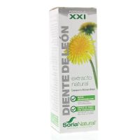 Taraxacum officinalis XXI