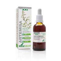 Soria Artemisia vulgaris XXI extract