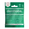 Afbeelding van Denttabs Tandpasta tabletten munt met fluor vegan