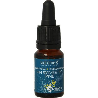 Ladrome Pine / Den 24 bio 10 Milliliter - Fytotherapie