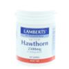 Afbeelding van Lamberts Crataegus 2500 mg (hawthorn)