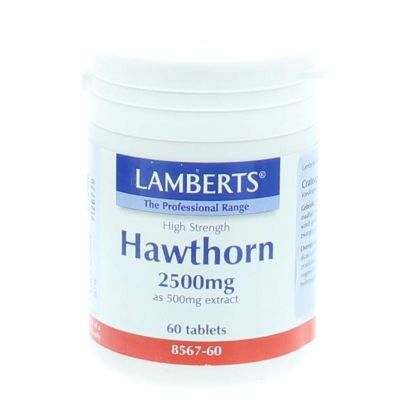 Lamberts Crataegus 2500 mg (hawthorn)