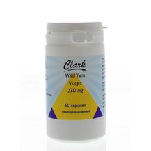 Foto van Wilde yam 250 mg