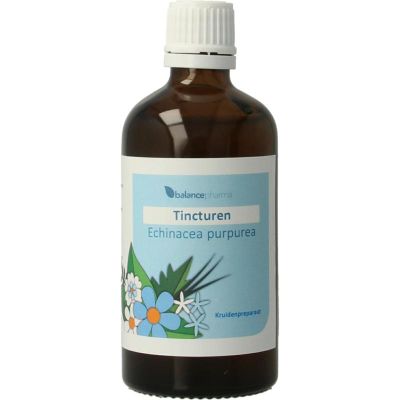 Balance Pharma Echinacea purpurea L. tincturen 100 ml - Overige producten