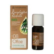 Foto van Olfacto Eucalyptus radiata 08