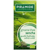 Piramide Groene thee sencha eko