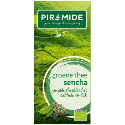 Piramide Groene thee sencha eko