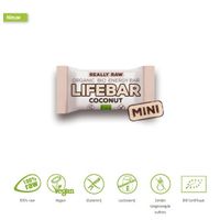 Lifefood Mini lifebar energiereep kokos raw & bio