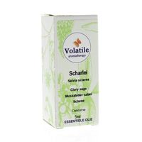 Volatile Scharlei