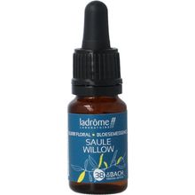 Foto van Ladrome Willow bio