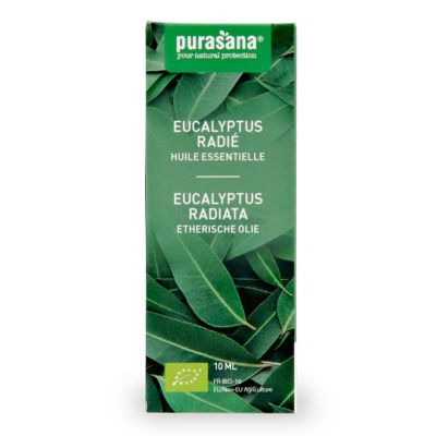 Purasana Eucalyptus radiata