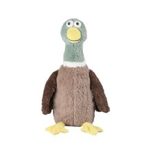 Foto van Warmies eend