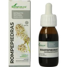 Foto van Soria Lepidium latifolium XXI