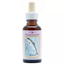 Foto van Animal Essences Salmon (zalm)