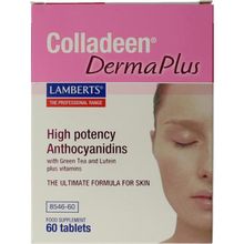 Foto van Lamberts Colladeen derma plus