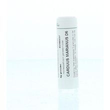 Foto van Homeoden Heel Carduus marianus D6