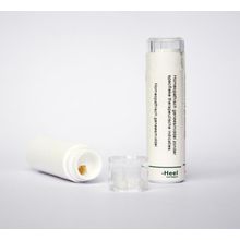 Foto van Homeoden Heel Juglans regia 10MK