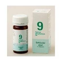 Foto van Pfluger Natrium phosphoricum 9 D6 Schussler