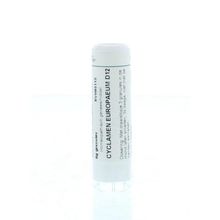 Foto van Homeoden Heel Cyclamen europaeum D12